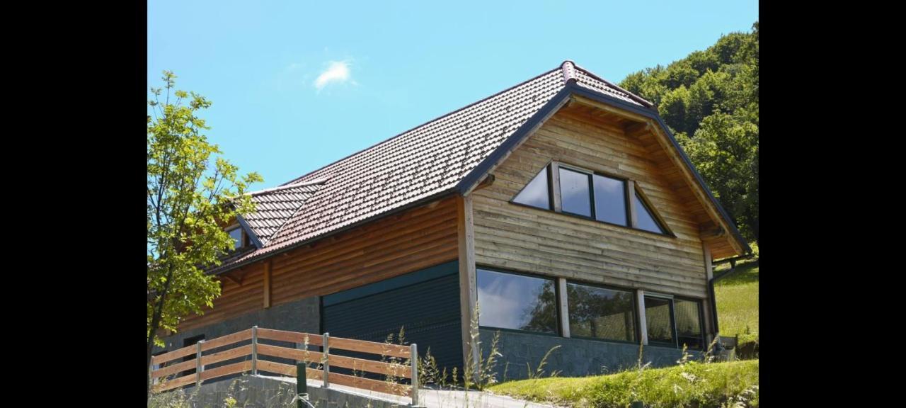 Ranc Stojnsek Villa Rogaška Slatina Kültér fotó